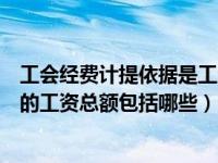 工会经费计提依据是工资总额还是利润总额（工会经费计提的工资总额包括哪些）