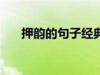 押韵的句子经典语录（求押韵的句子）