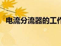 电流分流器的工作原理（分流器工作原理）