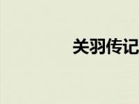 关羽传记300字（关羽传）
