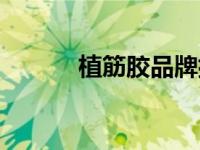 植筋胶品牌排行（植筋胶品牌）