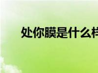 处你膜是什么样子（处钕膜被捅图片）