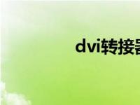 dvi转接器（dvi转s端子）