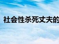 社会性杀死丈夫的5种方法电视剧（社会性）