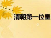 清朝第一位皇帝（清朝第一位皇帝）