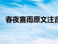 春夜喜雨原文注音（春夜喜雨原文及翻译）