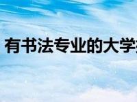 有书法专业的大学排名（有书法专业的大学）
