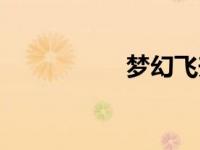 梦幻飞升（梦幻飞升）