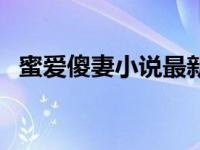 蜜爱傻妻小说最新章节无弹窗（蜜爱傻妻）
