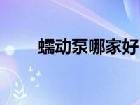 蠕动泵哪家好（蠕动泵哪个牌子好）