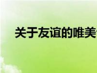 关于友谊的唯美句子（关于友谊的格言）