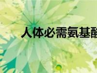 人体必需氨基酸是（人体必需氨基酸）