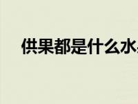 供果都是什么水果（供果是哪五样水果）