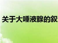关于大唾液腺的叙述（唾液腺是内分泌腺吗）