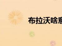 布拉沃啥意思（北布拉沃河）