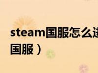 steam国服怎么进国际服（STEAM 怎么启动国服）