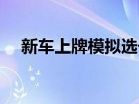 新车上牌模拟选号（新车上牌怎么选号）