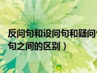 反问句和设问句和疑问句有什么区别（反问句和设问句 疑问句之间的区别）