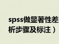 spss做显著性差异分析（spss显著性差异分析步骤及标注）