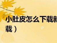 小肚皮怎么下载新版本（小肚皮电脑版怎么下载）