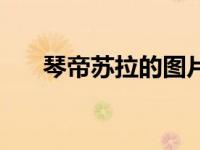 琴帝苏拉的图片（琴帝漫画苏拉图片）