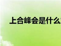 上合峰会是什么意思（峰会是什么意思）