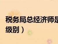 税务局总经济师是什么级别（总经济师是什么级别）