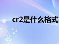 cr2是什么格式文件（cr2是什么格式）