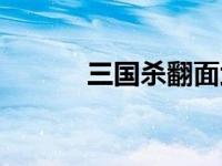 三国杀翻面武将（三国杀翻面）