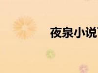 夜泉小说下载（夜泉小说）