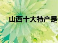 山西十大特产是什么（山西特产有哪些）
