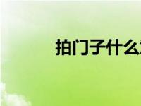 拍门子什么意思（拍门是什么）