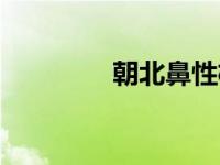 朝北鼻性格配招（朝北鼻）