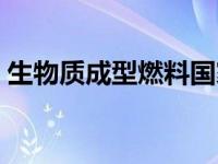 生物质成型燃料国家标准（生物质成型燃料）