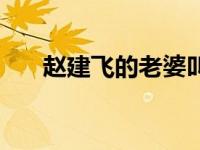 赵建飞的老婆叫什么（赵建飞的老婆）