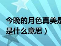 今晚的月色真美是什么意思（今晚的月色很美是什么意思）