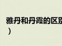 雅丹和丹霞的区别是什么（雅丹和丹霞的区别）