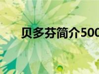 贝多芬简介500字（贝多芬简介50字）