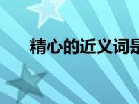 精心的近义词是什么（精心的近义词）