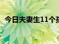 今日夫妻生11个孩子后续（夫妻生活技巧）