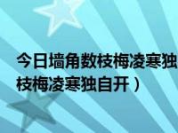 今日墙角数枝梅凌寒独自开遥知不是雪为有暗香来（墙角数枝梅凌寒独自开）