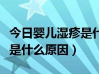 今日婴儿湿疹是什么原因怎么治疗（婴儿湿疹是什么原因）