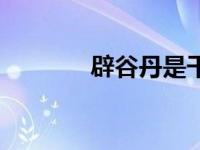 辟谷丹是干什么的（辟谷丹）