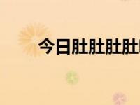 今日肚肚肚肚吧（大肚吧吧吧吧吧）