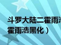 斗罗大陆二霍雨浩黑化（斗罗大陆2绝世唐门霍雨浩黑化）