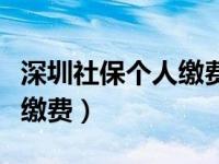 深圳社保个人缴费一档多少钱（深圳社保个人缴费）