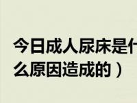 今日成人尿床是什么原因造成（成人尿床是什么原因造成的）