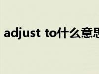 adjust to什么意思中文（adjust to的用法）