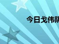 今日戈伟阴茎锻炼法是什么？