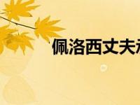 佩洛西丈夫承认酒驾是怎么回事